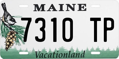 ME license plate 7310TP