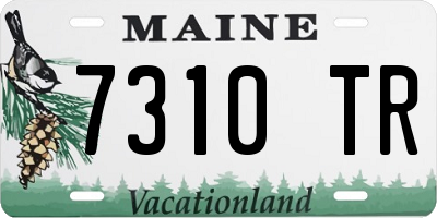 ME license plate 7310TR