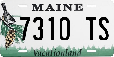 ME license plate 7310TS
