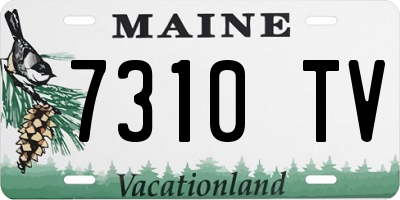 ME license plate 7310TV