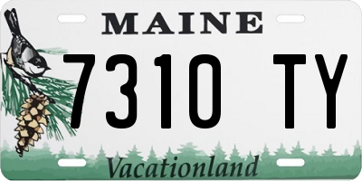 ME license plate 7310TY