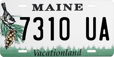 ME license plate 7310UA