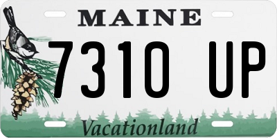 ME license plate 7310UP