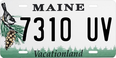 ME license plate 7310UV