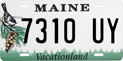 ME license plate 7310UY