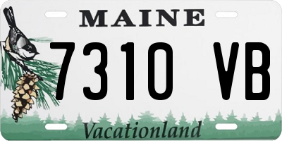 ME license plate 7310VB