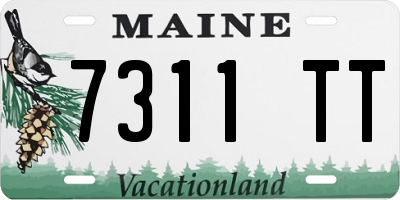 ME license plate 7311TT