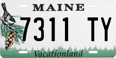 ME license plate 7311TY