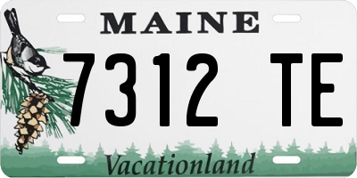 ME license plate 7312TE
