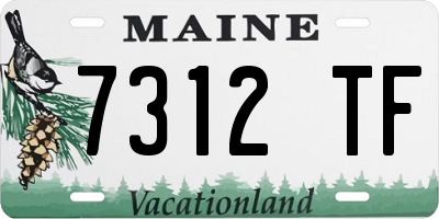 ME license plate 7312TF