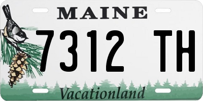 ME license plate 7312TH