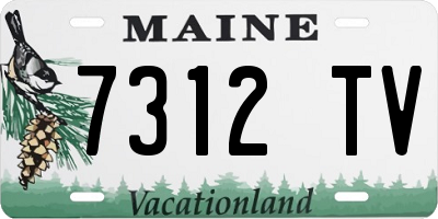 ME license plate 7312TV