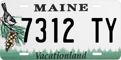 ME license plate 7312TY