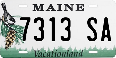 ME license plate 7313SA