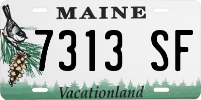 ME license plate 7313SF