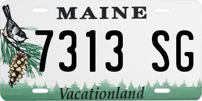 ME license plate 7313SG