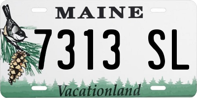 ME license plate 7313SL