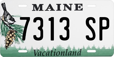 ME license plate 7313SP