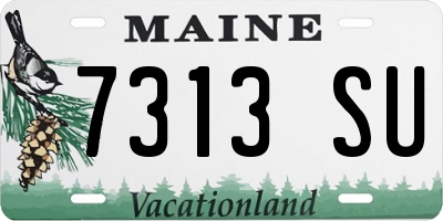 ME license plate 7313SU