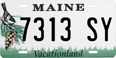 ME license plate 7313SY