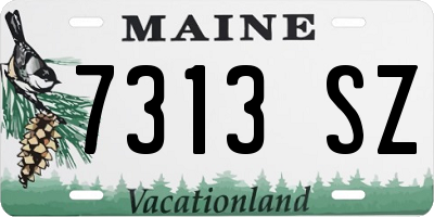 ME license plate 7313SZ