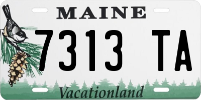 ME license plate 7313TA
