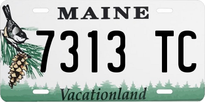 ME license plate 7313TC