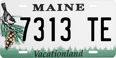 ME license plate 7313TE