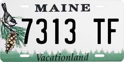 ME license plate 7313TF