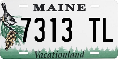 ME license plate 7313TL