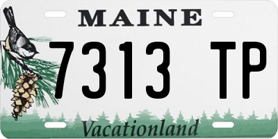 ME license plate 7313TP
