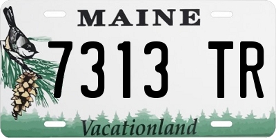 ME license plate 7313TR