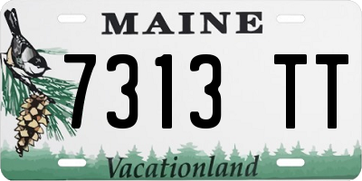 ME license plate 7313TT