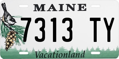 ME license plate 7313TY