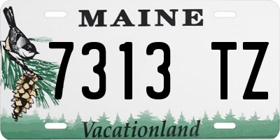 ME license plate 7313TZ