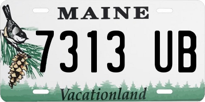 ME license plate 7313UB
