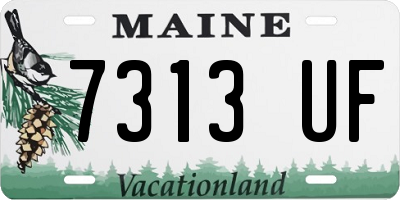 ME license plate 7313UF