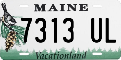 ME license plate 7313UL