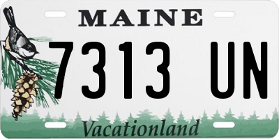 ME license plate 7313UN