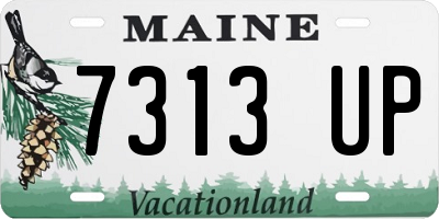 ME license plate 7313UP