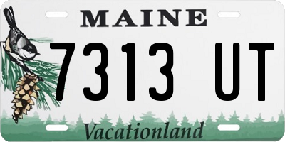 ME license plate 7313UT