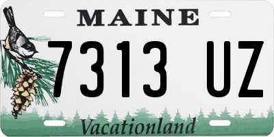 ME license plate 7313UZ