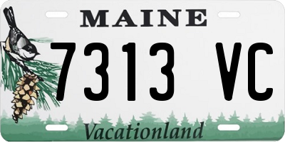 ME license plate 7313VC