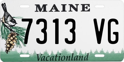 ME license plate 7313VG