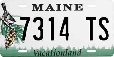 ME license plate 7314TS