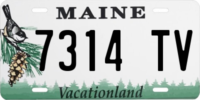 ME license plate 7314TV