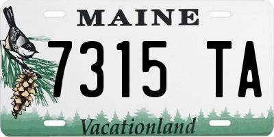 ME license plate 7315TA