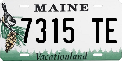 ME license plate 7315TE