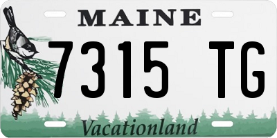 ME license plate 7315TG
