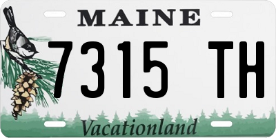 ME license plate 7315TH